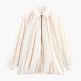 Chic Glossy Blouse