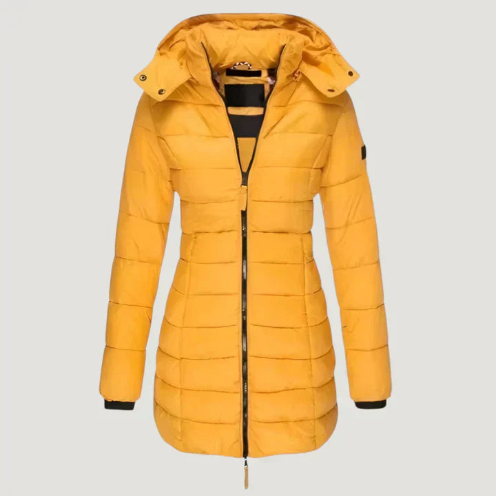 Winter Jacket