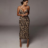 Leopardo