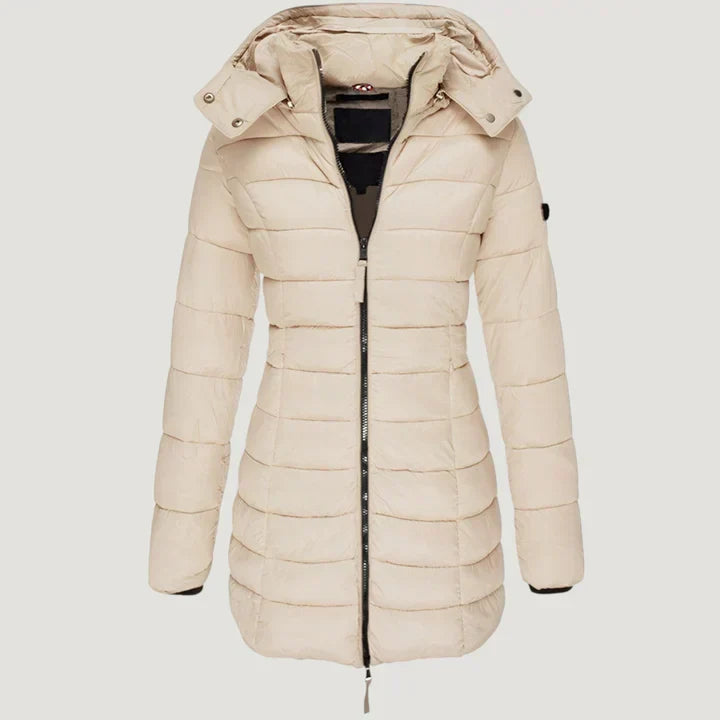 Winter Jacket