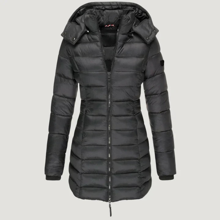 Winter Jacket
