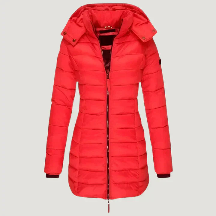 Winter Jacket